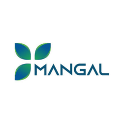 Mangal Electrical Industries IPO